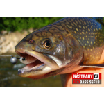 Micro Minnow SSF 1B