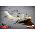 Minnow SSF 4