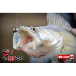 Minnow SSF 4