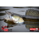 Minnow SSF 4