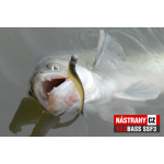 Minnow SSF 4