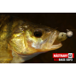Minnow SSF 3