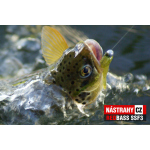 Minnow SSF 3