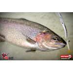 Micro Minnow SSR 1