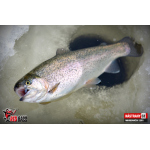Micro Minnow SSR 1