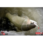 Micro Minnow SSR 1