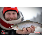 Micro Minnow SSR 1