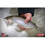 Micro Minnow SSR 1