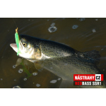 Micro Minnow SSR 1