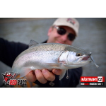 Micro Minnow SSR 1