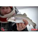 Micro Minnow SSR 1