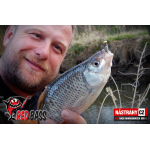 Micro Minnow SSR 1