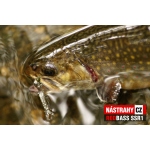 Micro Minnow SSR 1