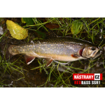 Micro Minnow SSR 1