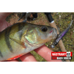 Micro Minnow SSR 1B