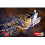 Micro Minnow SSR 1B