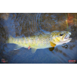 Micro Minnow SSR 1B
