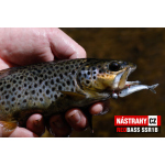 Micro Minnow SSR 1B