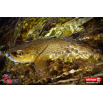 Micro Minnow SSR 1B