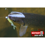 Micro Minnow SSR 1B