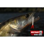 Minnow SSR 3