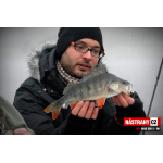 Minnow SSR 3