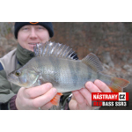 Minnow SSR 3