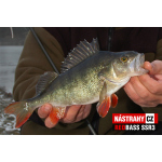 Minnow SSR 3