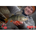 Minnow SSR 3