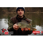Minnow SSR 3