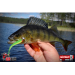 Minnow SSR 3