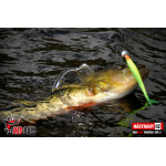 Minnow SSR 3