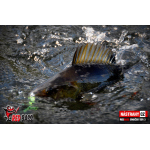Minnow SSR 3