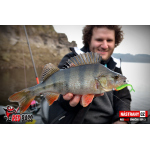Minnow SSR 3