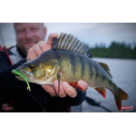 Minnow SSR 3