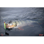 Minnow SSR 3