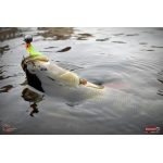 Minnow SSR 3