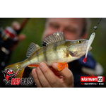 Minnow SSR 3