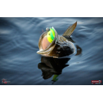 Minnow SSR 3