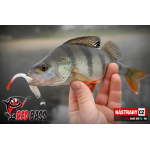 Minnow SSR 3
