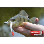 Minnow SSR 3
