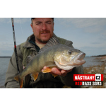 Minnow SSR 3