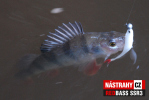 Minnow SSR 3