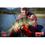 Minnow SSR 3