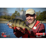Minnow SSR 3