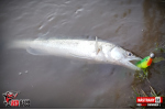 Ripper REDBASS SWIMMER XL - 140 mm