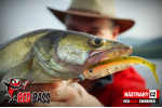 Ripper REDBASS SWIMMER L - 90 mm