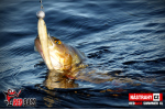 Ripper REDBASS SWIMMER XL - 140 mm