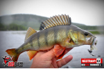 Ripper REDBASS SWIMMER XL - 140 mm