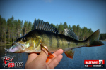 Ripper REDBASS SWIMMER XL - 140 mm